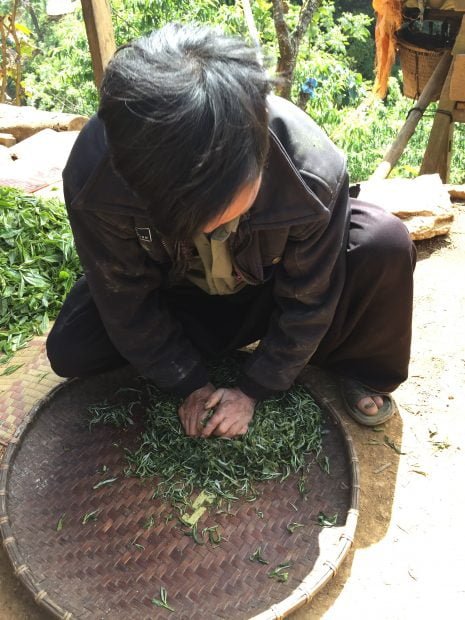 Rolling ancient tea leaves