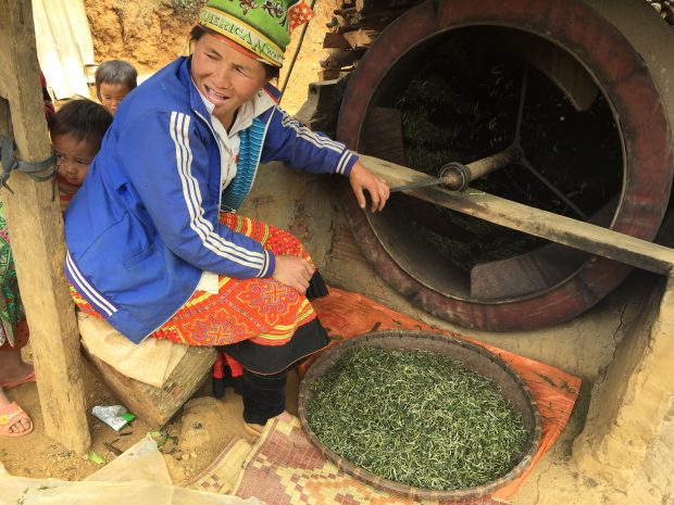 drying tea leaves