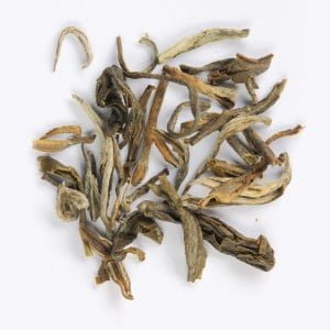 Dried ancient tea leaves