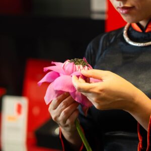 Lotus-flowers