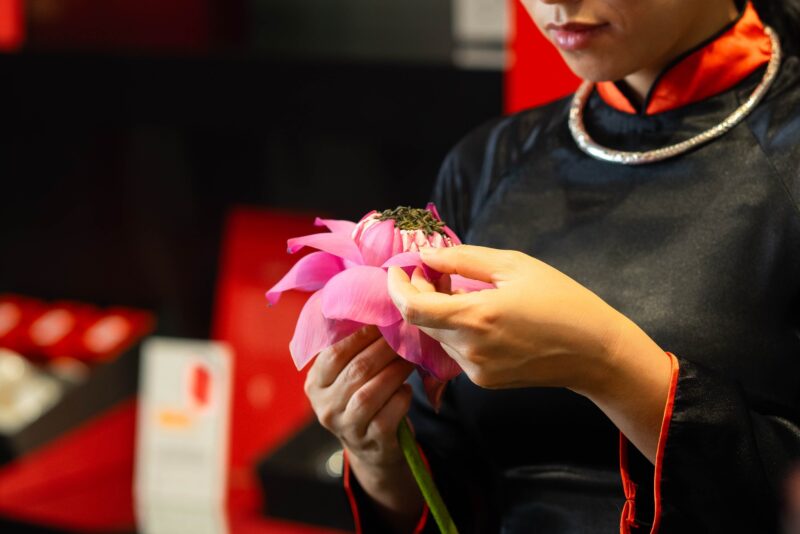 Lotus-flowers