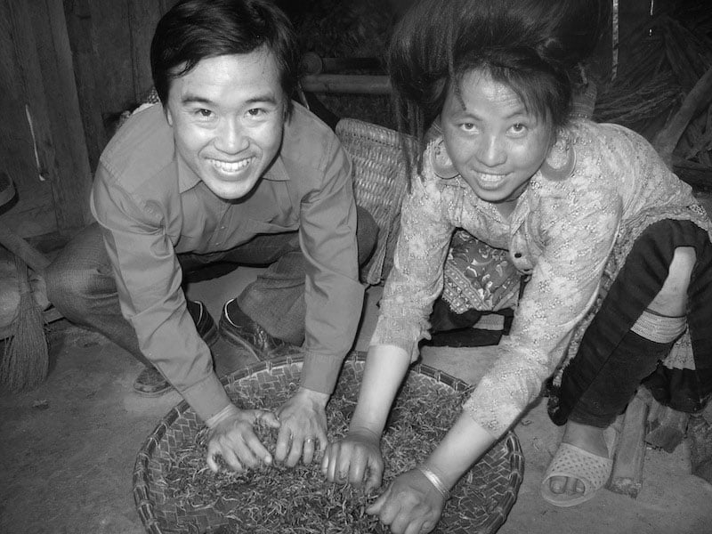Ta Xua ancient tea - tea making process