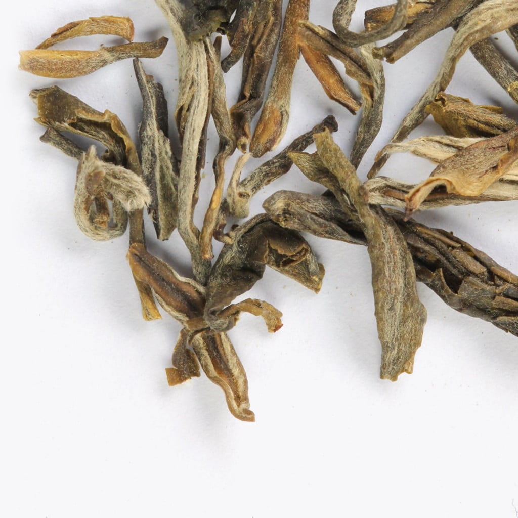 Ancient Tea Tree