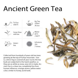 The Best Collection For Vietnam Tea Sampler 6 Tastes | Lotus Tea - Pur eh Tea - Oolong Tea - Loose Leaf Black Tea - Ancient Green Tea - Jasmine Tea
