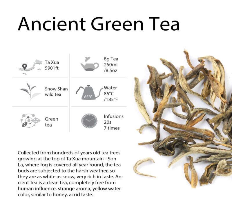 The Best Collection For Vietnam Tea Sampler 6 Tastes | Lotus Tea - Pur eh Tea - Oolong Tea - Loose Leaf Black Tea - Ancient Green Tea - Jasmine Tea